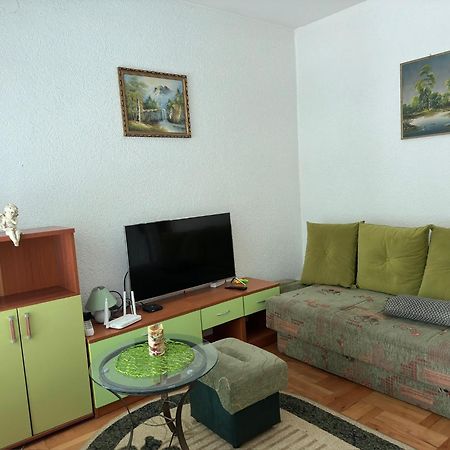 Apartman Radicevic Vrnjačka Banja Dış mekan fotoğraf